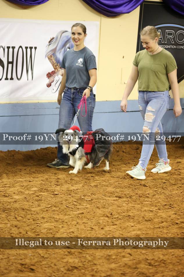 Proof 19YN_29477