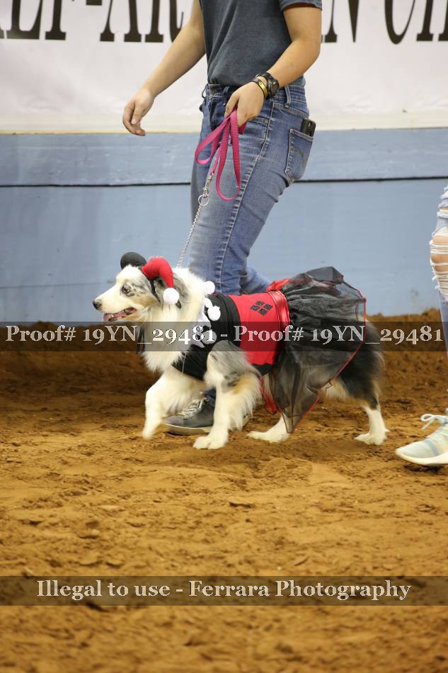Proof 19YN_29481