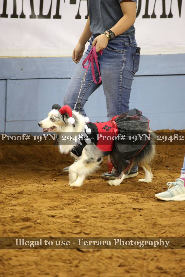 Proof 19YN_29482