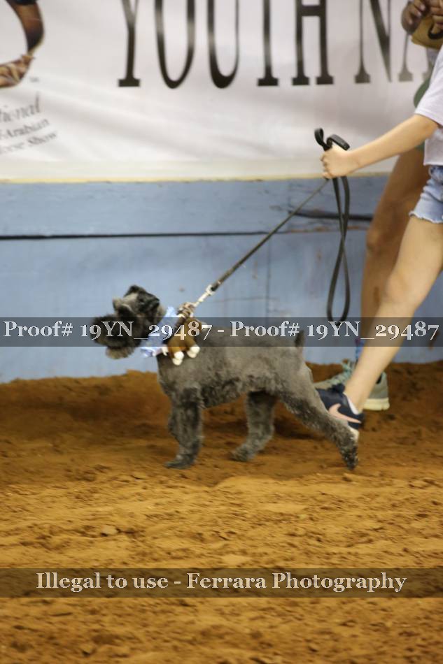 Proof 19YN_29487