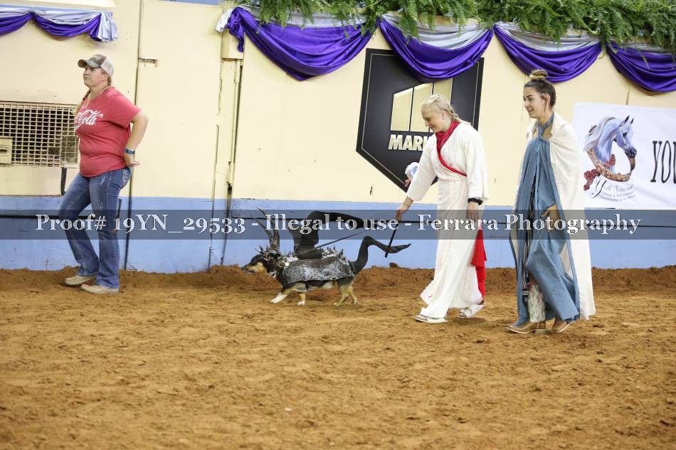 Proof 19YN_29533