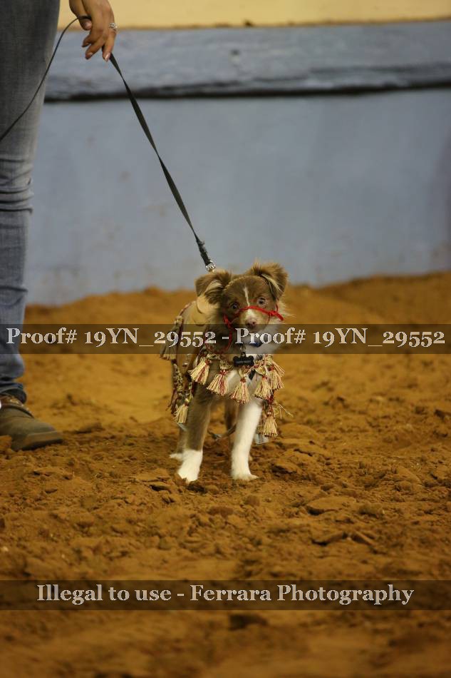 Proof 19YN_29552