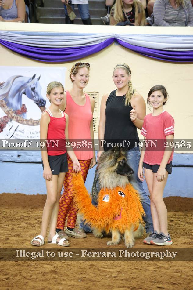 Proof 19YN_29585