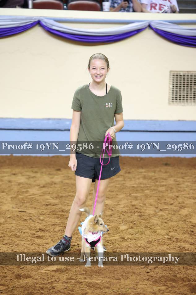 Proof 19YN_29586