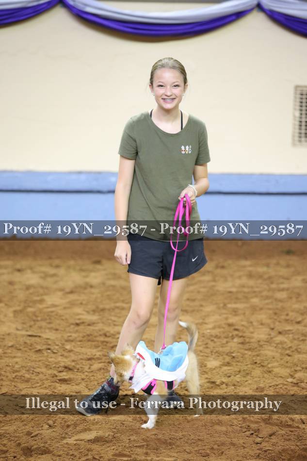 Proof 19YN_29587