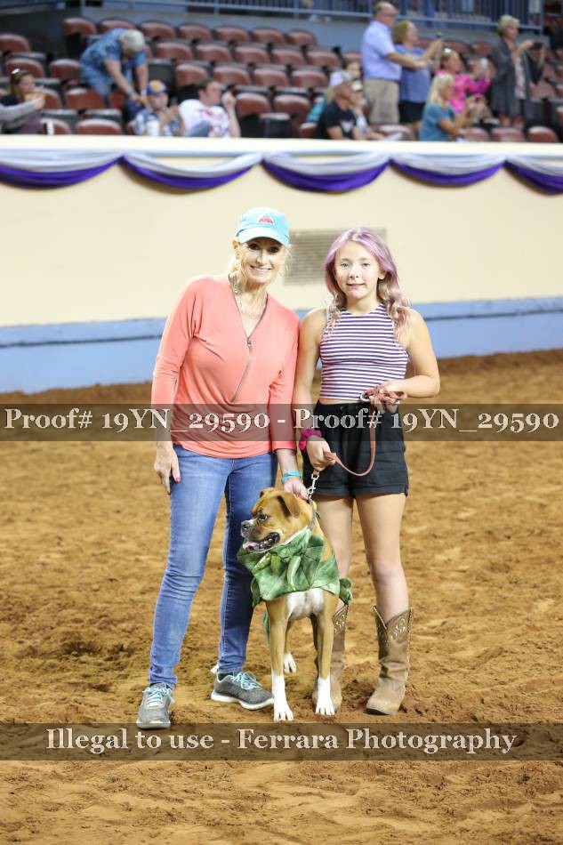 Proof 19YN_29590