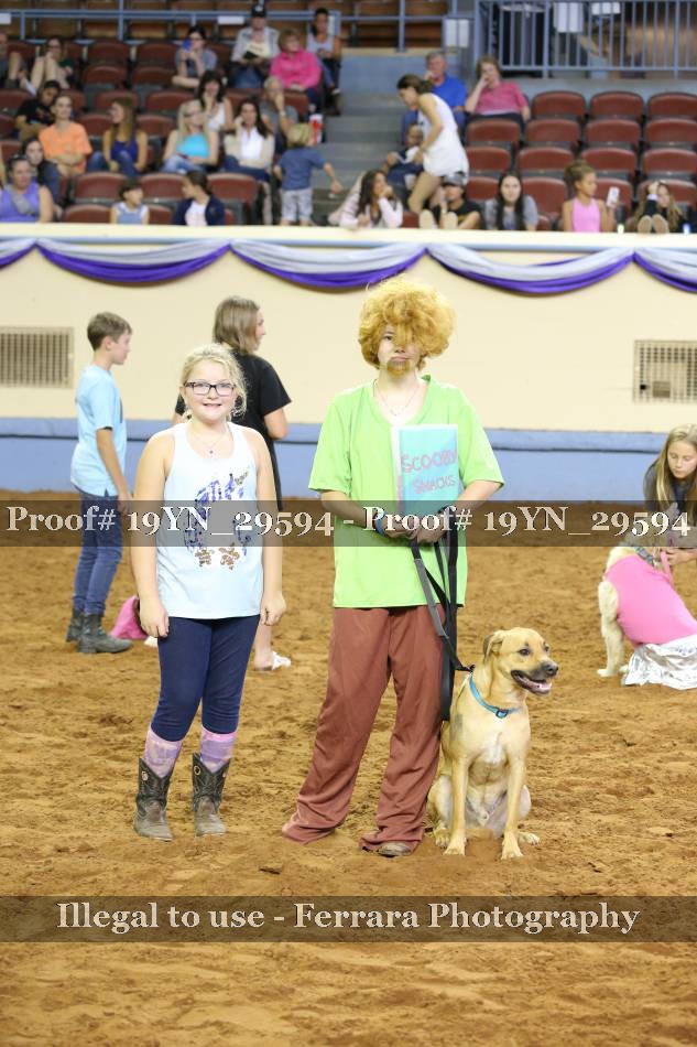 Proof 19YN_29594