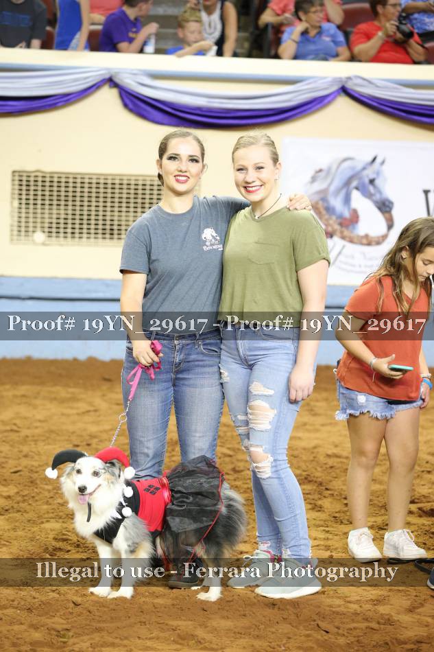Proof 19YN_29617