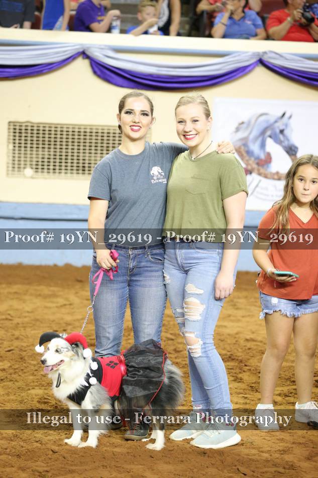 Proof 19YN_29619