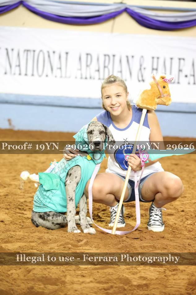 Proof 19YN_29626