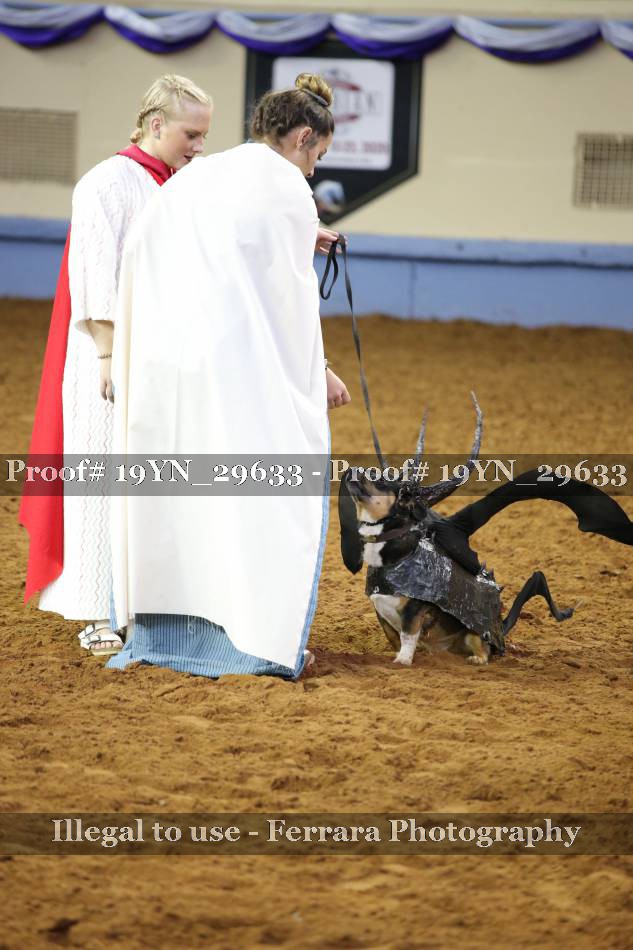 Proof 19YN_29633
