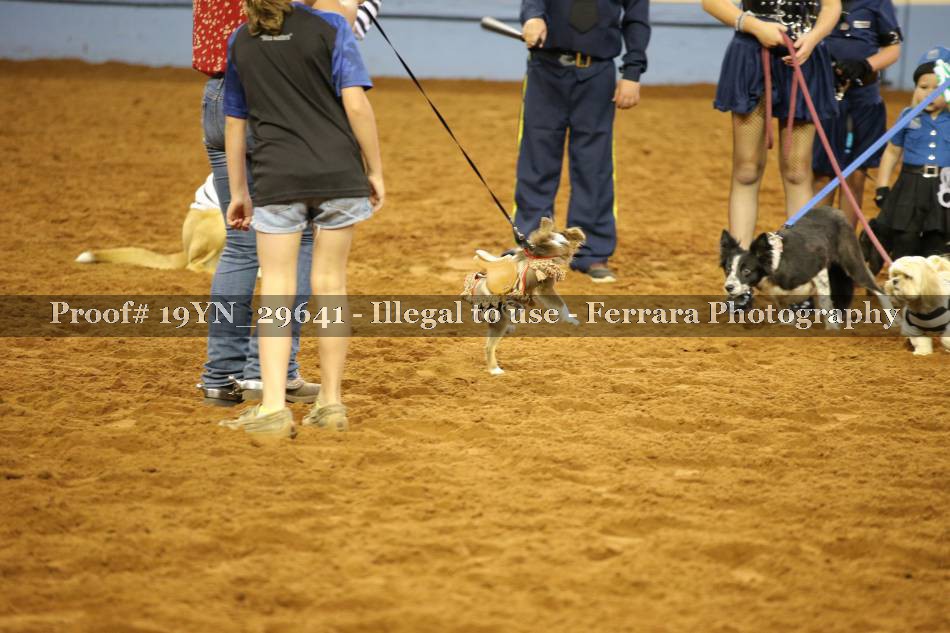 Proof 19YN_29641