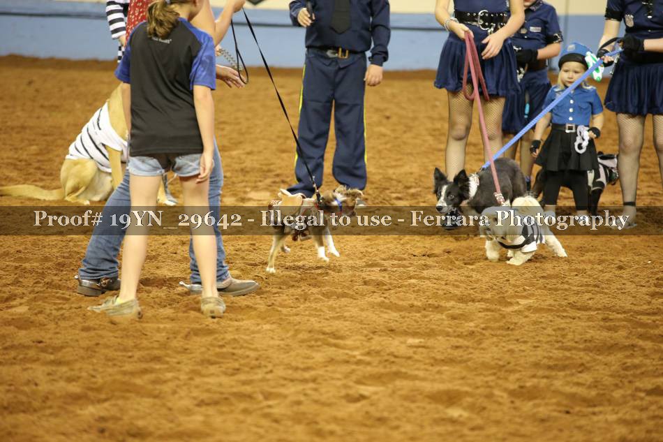 Proof 19YN_29642