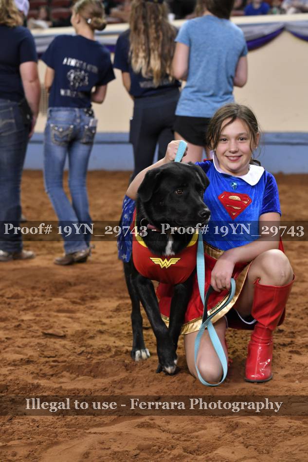 Proof 19YN_29743