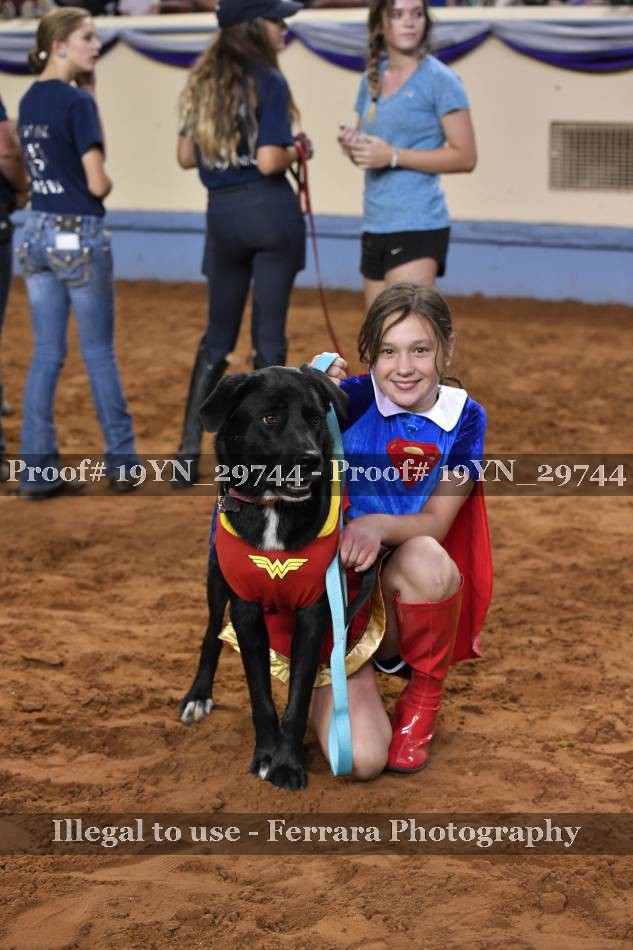 Proof 19YN_29744