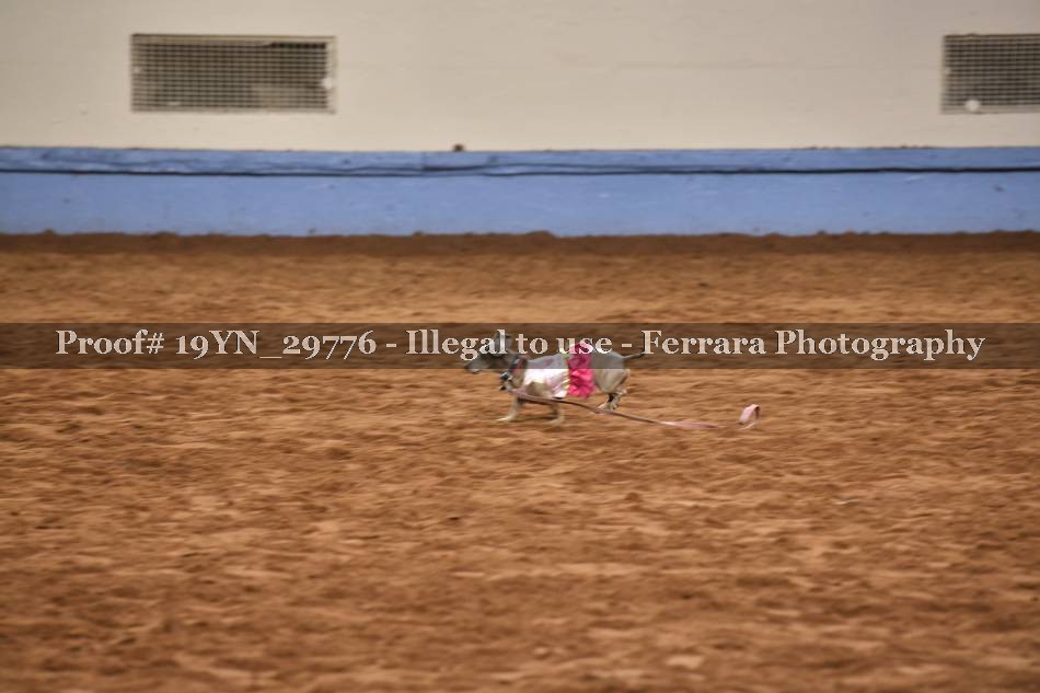 Proof 19YN_29776