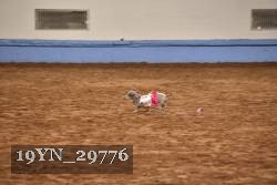 19YN_29776 proof