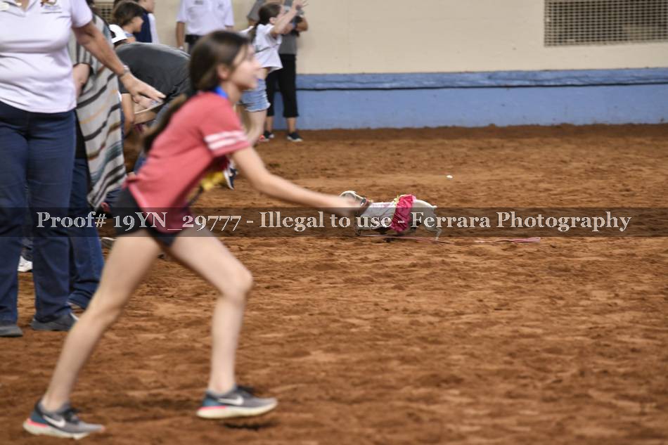 Proof 19YN_29777