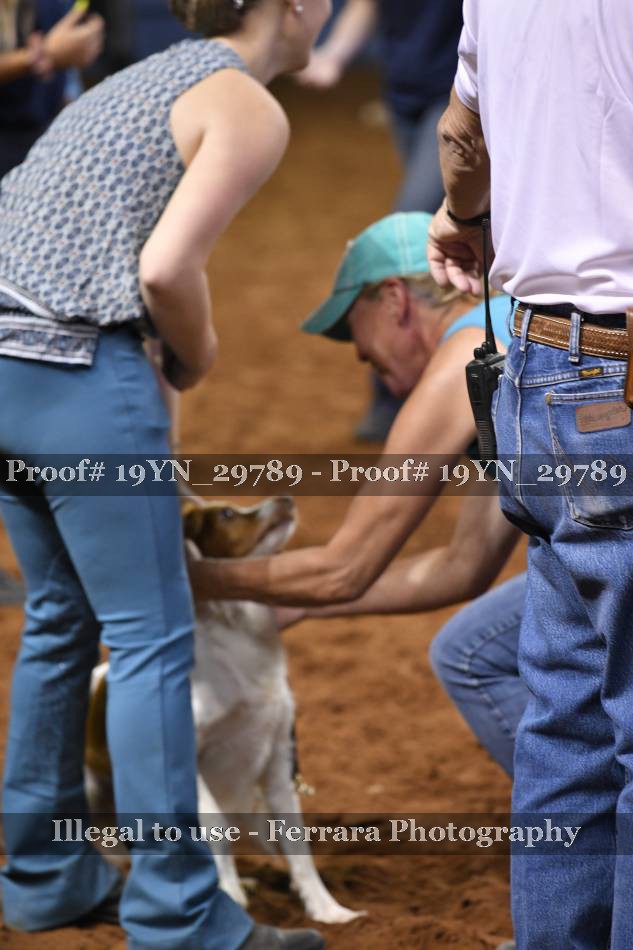 Proof 19YN_29789