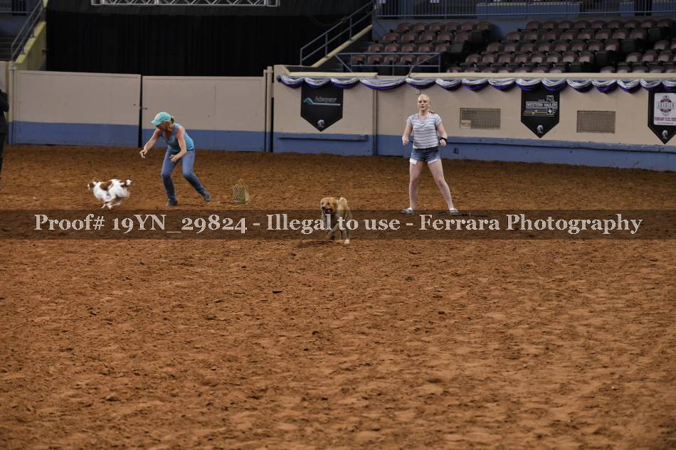 Proof 19YN_29824