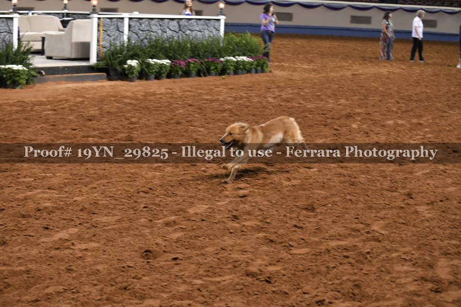Proof 19YN_29825
