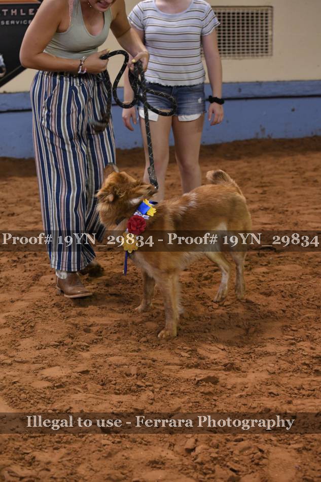 Proof 19YN_29834