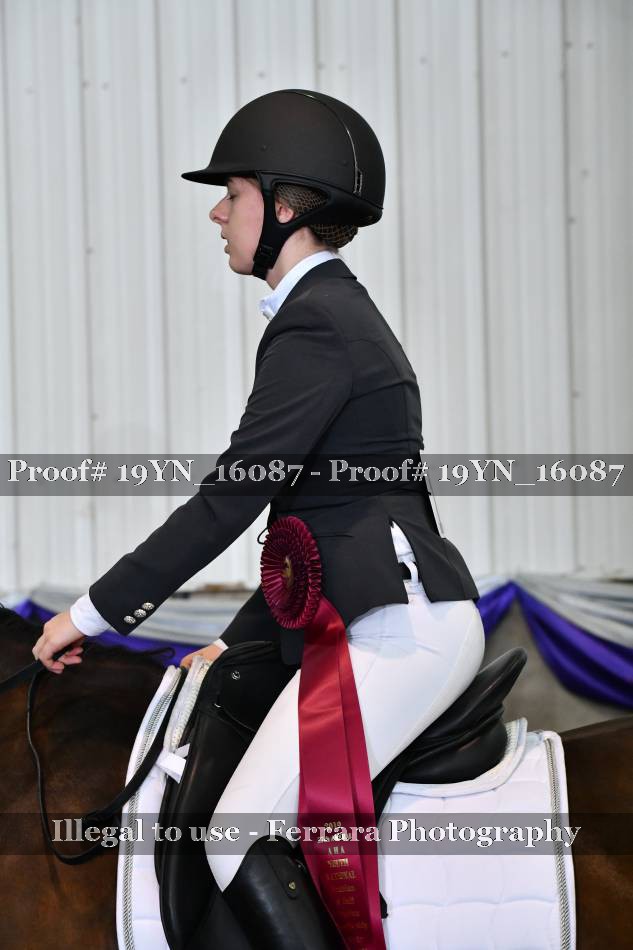 Proof 19YN_16087
