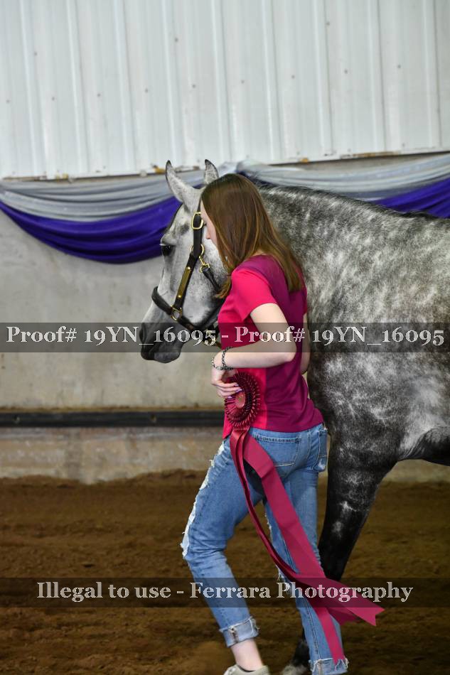 Proof 19YN_16095
