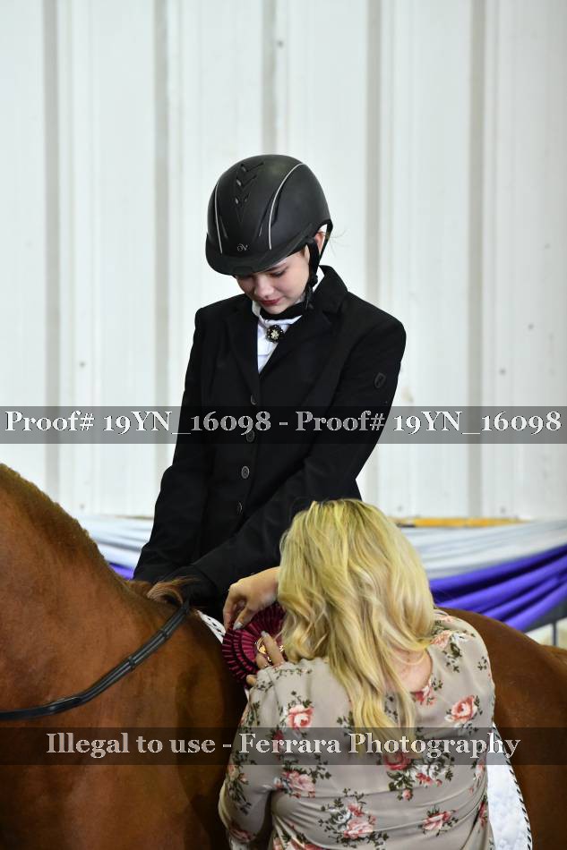 Proof 19YN_16098