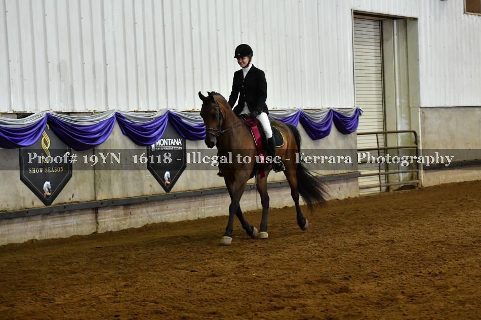 Proof 19YN_16118