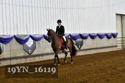 19YN_16119 proof