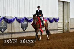 19YN_16132 proof
