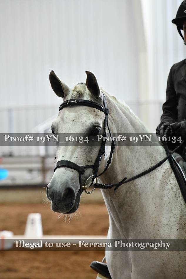 Proof 19YN_16134