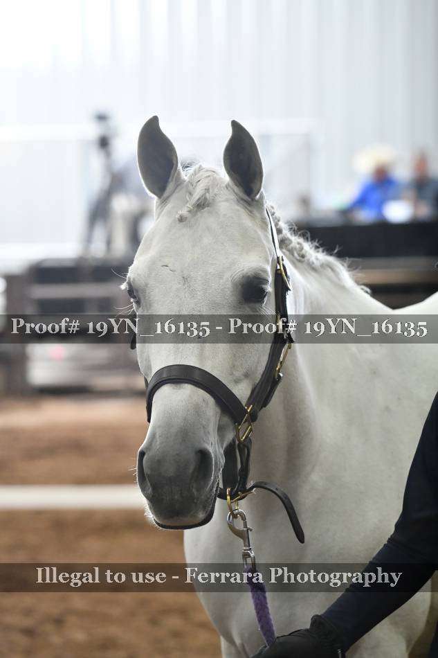 Proof 19YN_16135