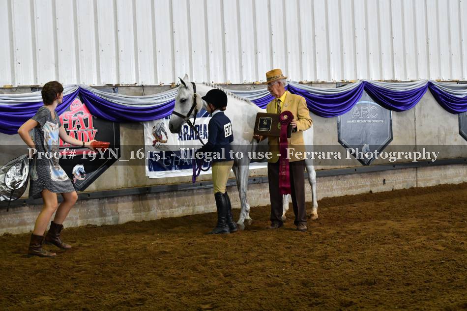 Proof 19YN_16151