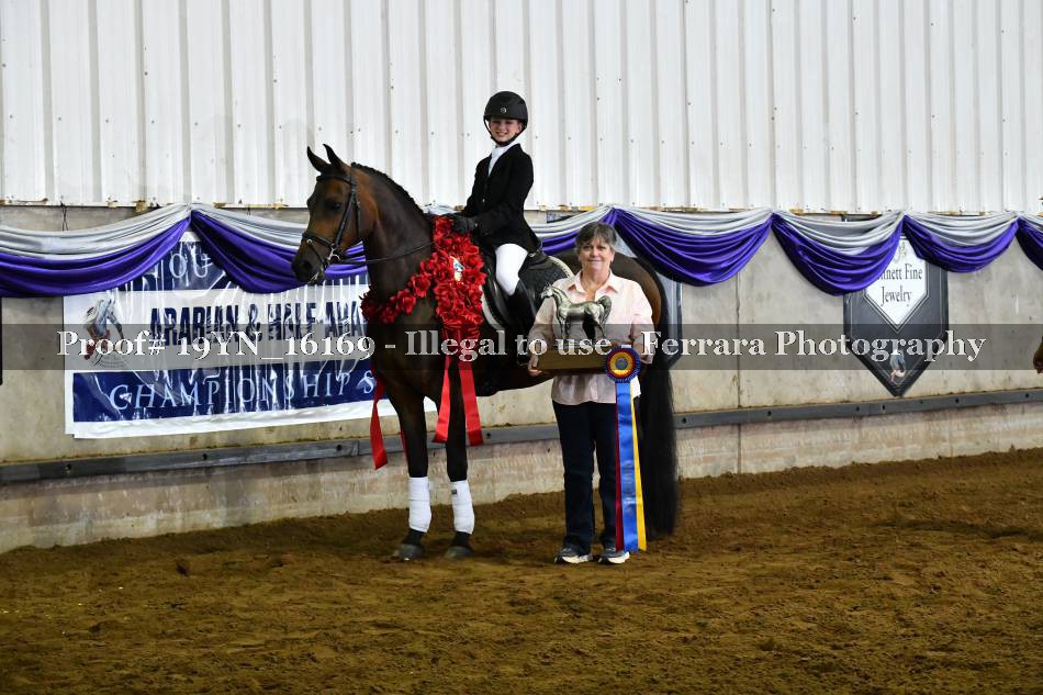 Proof 19YN_16169