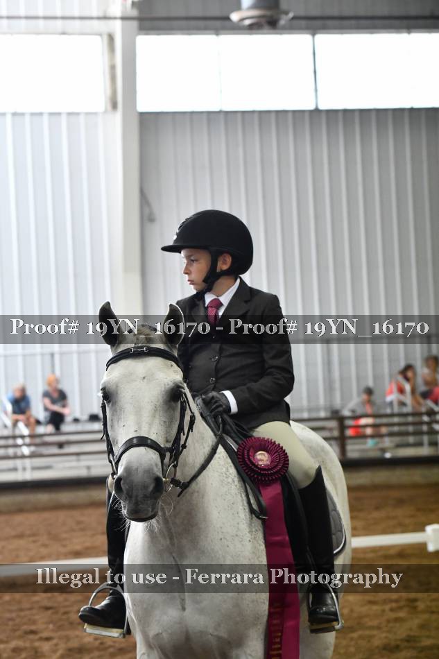 Proof 19YN_16170