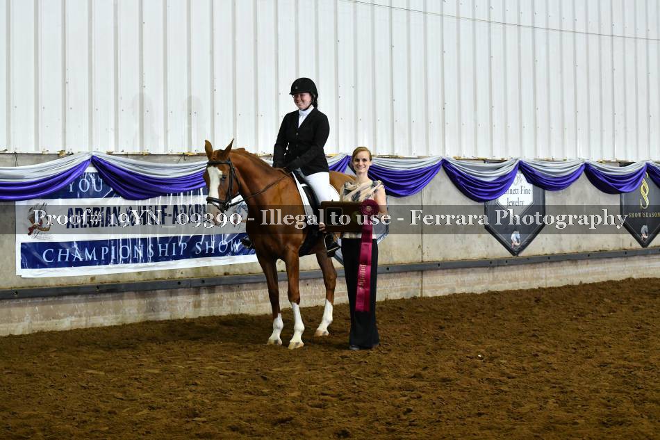 Proof 19YN_09390