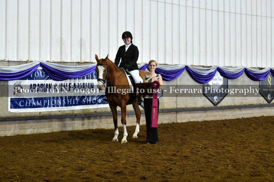 Proof 19YN_09391