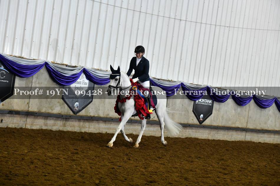 Proof 19YN_09428