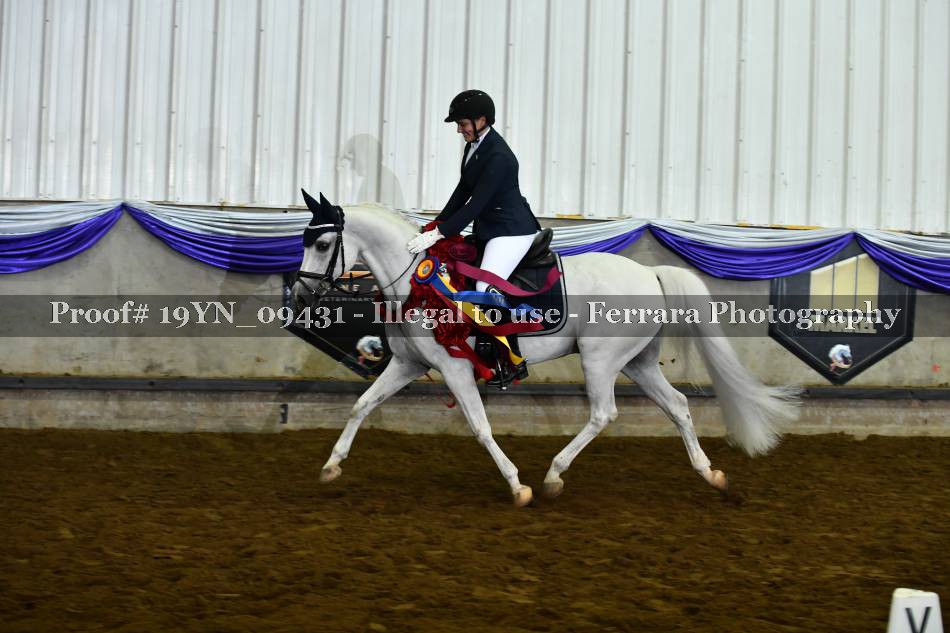 Proof 19YN_09431