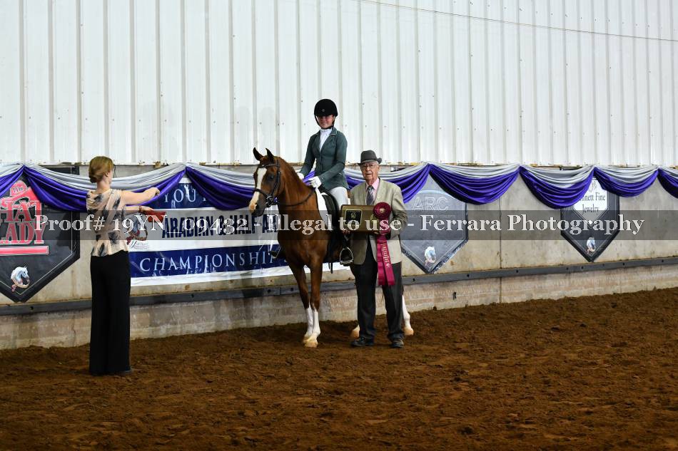 Proof 19YN_09432