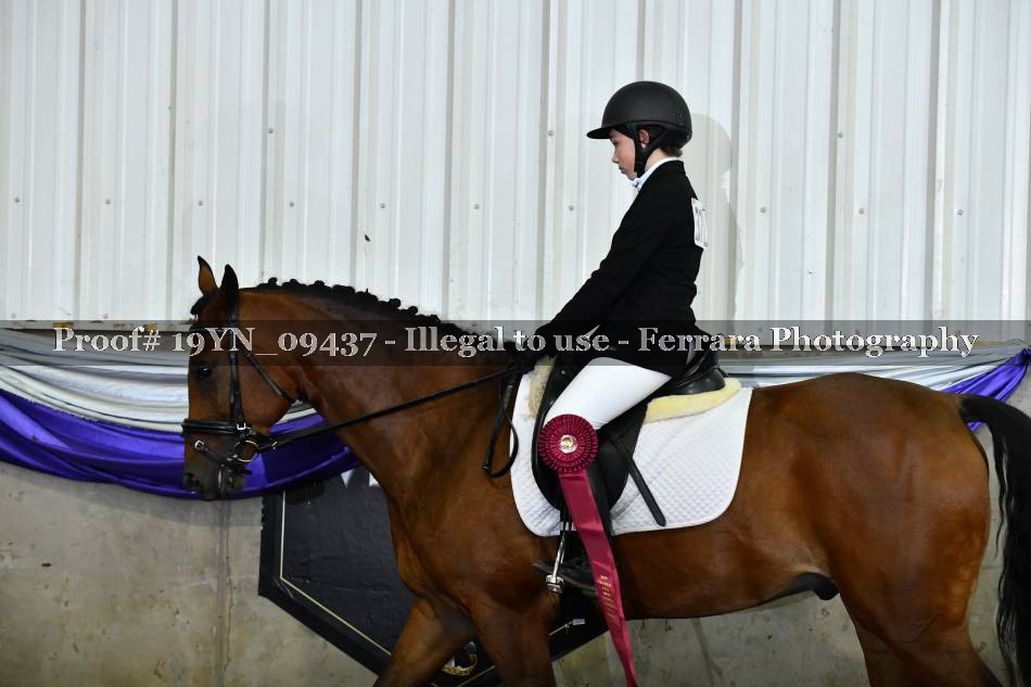Proof 19YN_09437