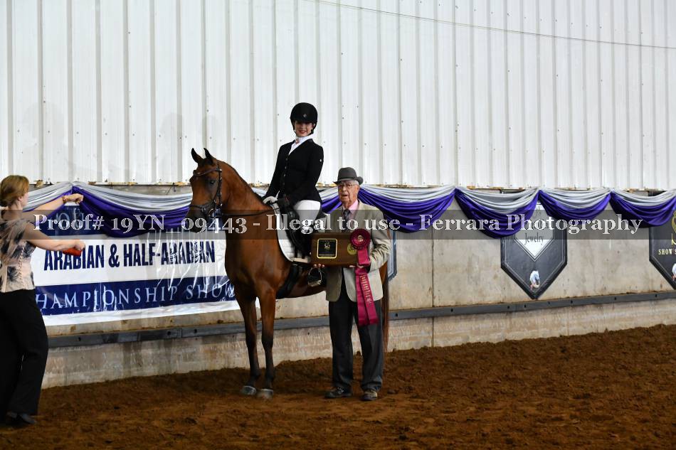 Proof 19YN_09443