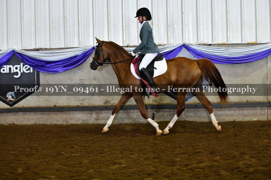 Proof 19YN_09461