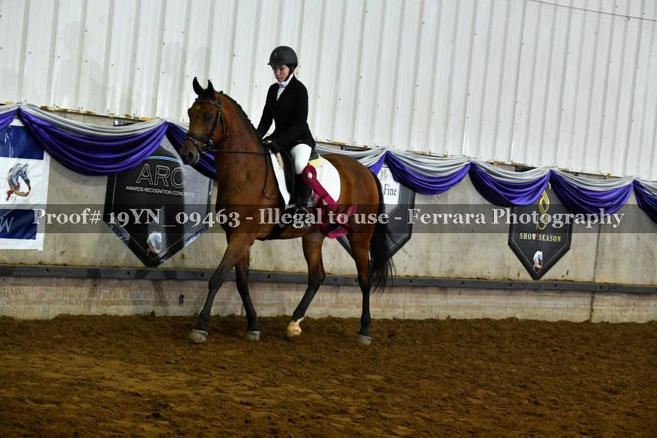 Proof 19YN_09463