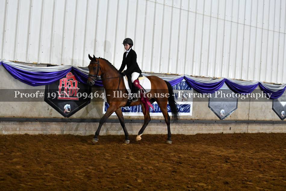 Proof 19YN_09464
