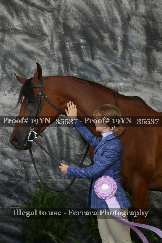 Proof 19YN_35537
