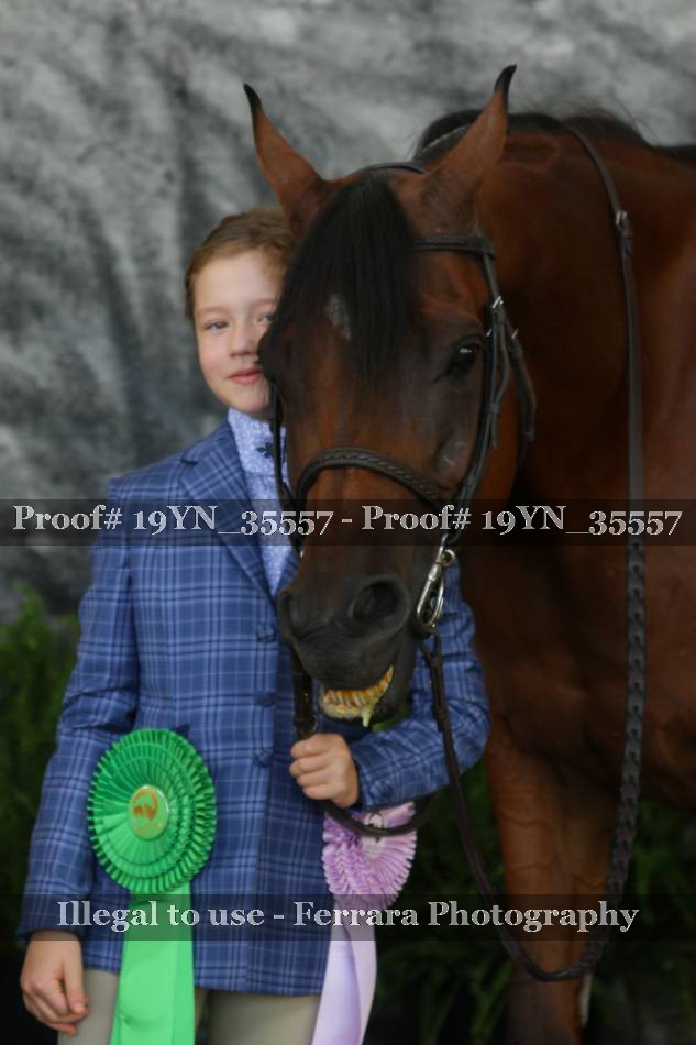 Proof 19YN_35557