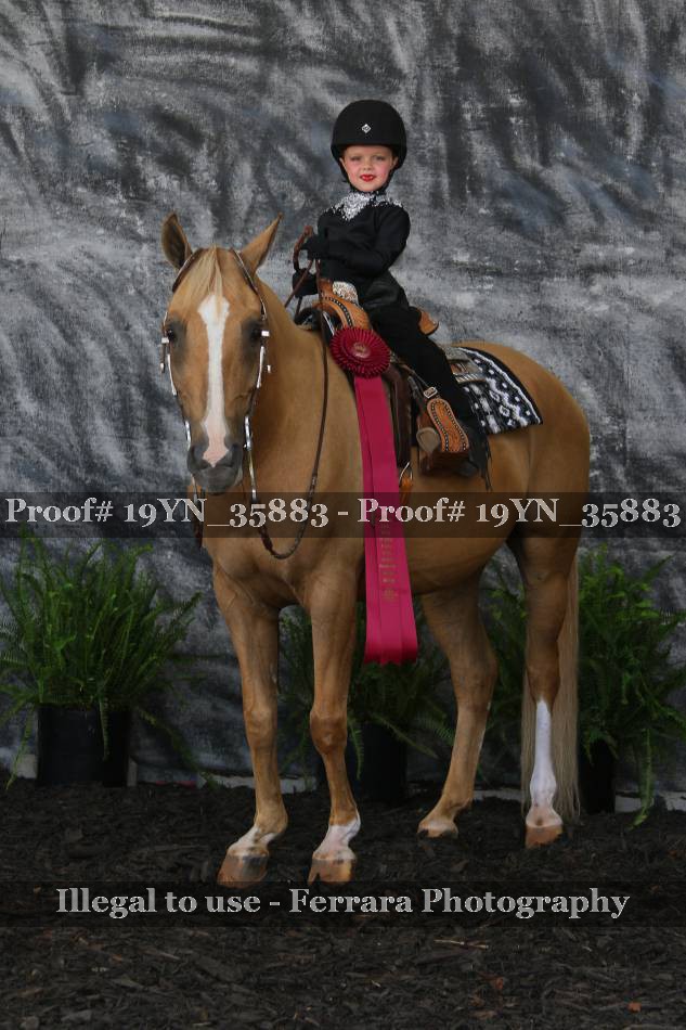 Proof 19YN_35883